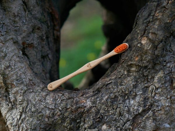 Brosse à dents Suisse pour les enfants